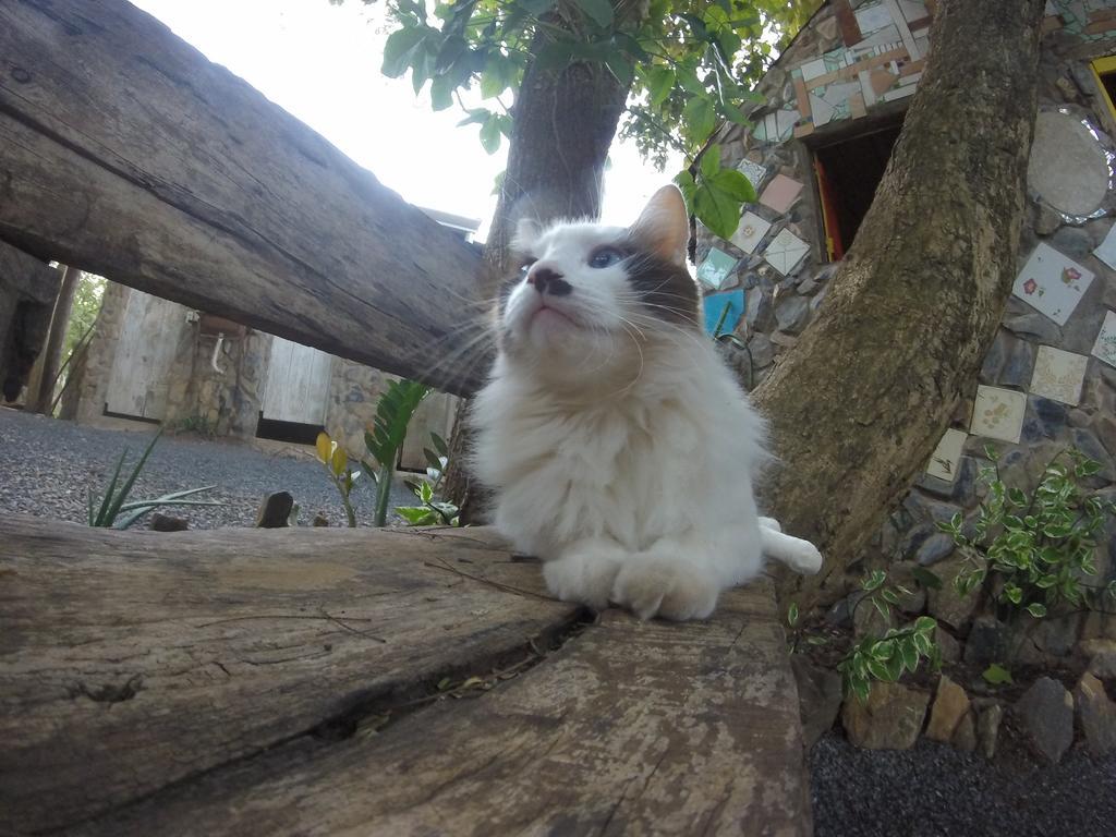 Camping Nomadas Bonito  Luaran gambar